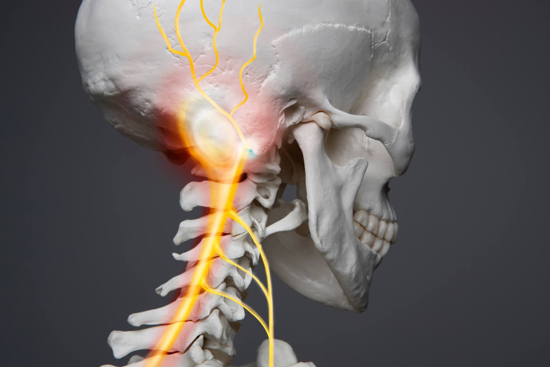 額 関節 症 症状