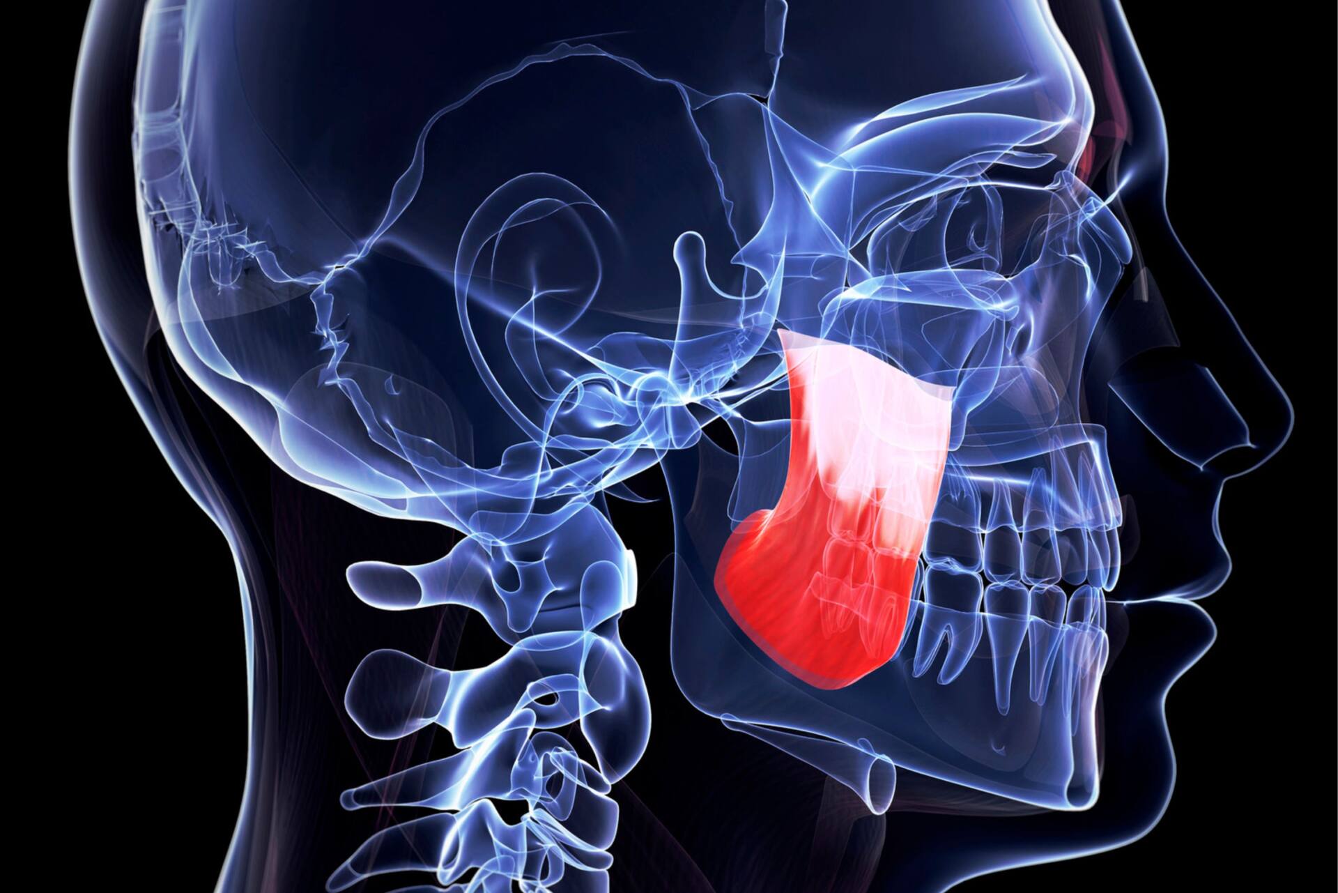 口が開かない痛い