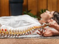 カイロ プラクティック 自律 神経