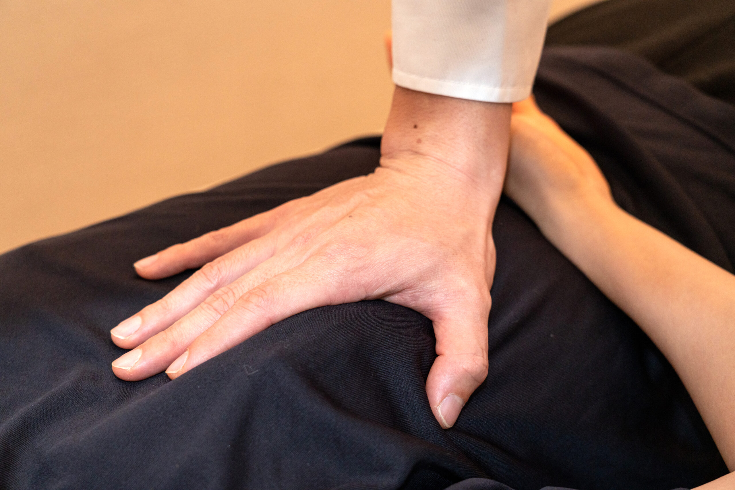 整体とカイロプラクティックの違い