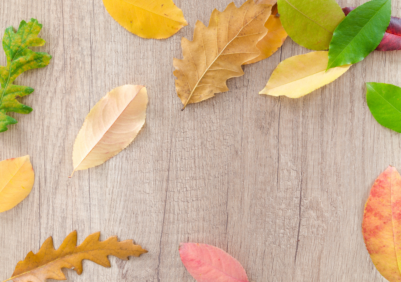 季節の変わり目、自律神経