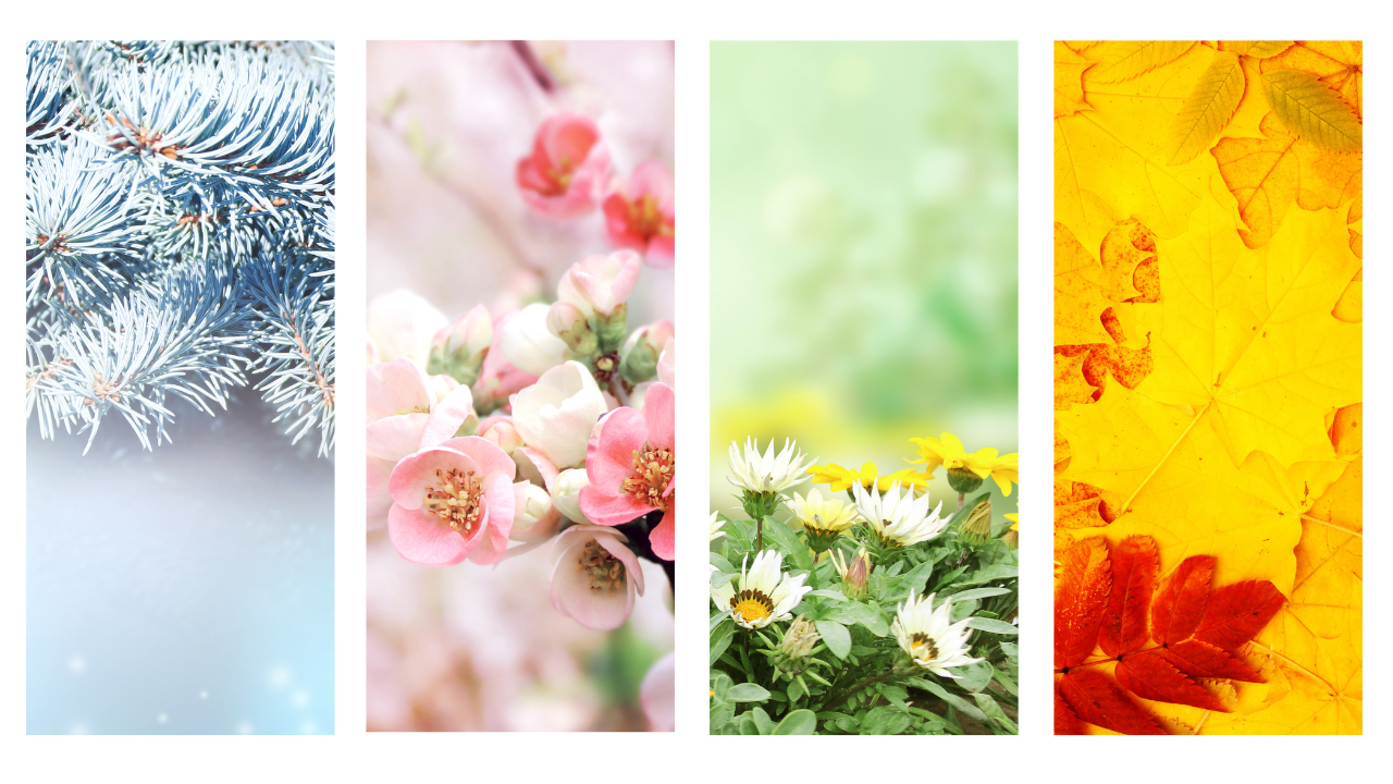 ぎっくり腰、寝違え