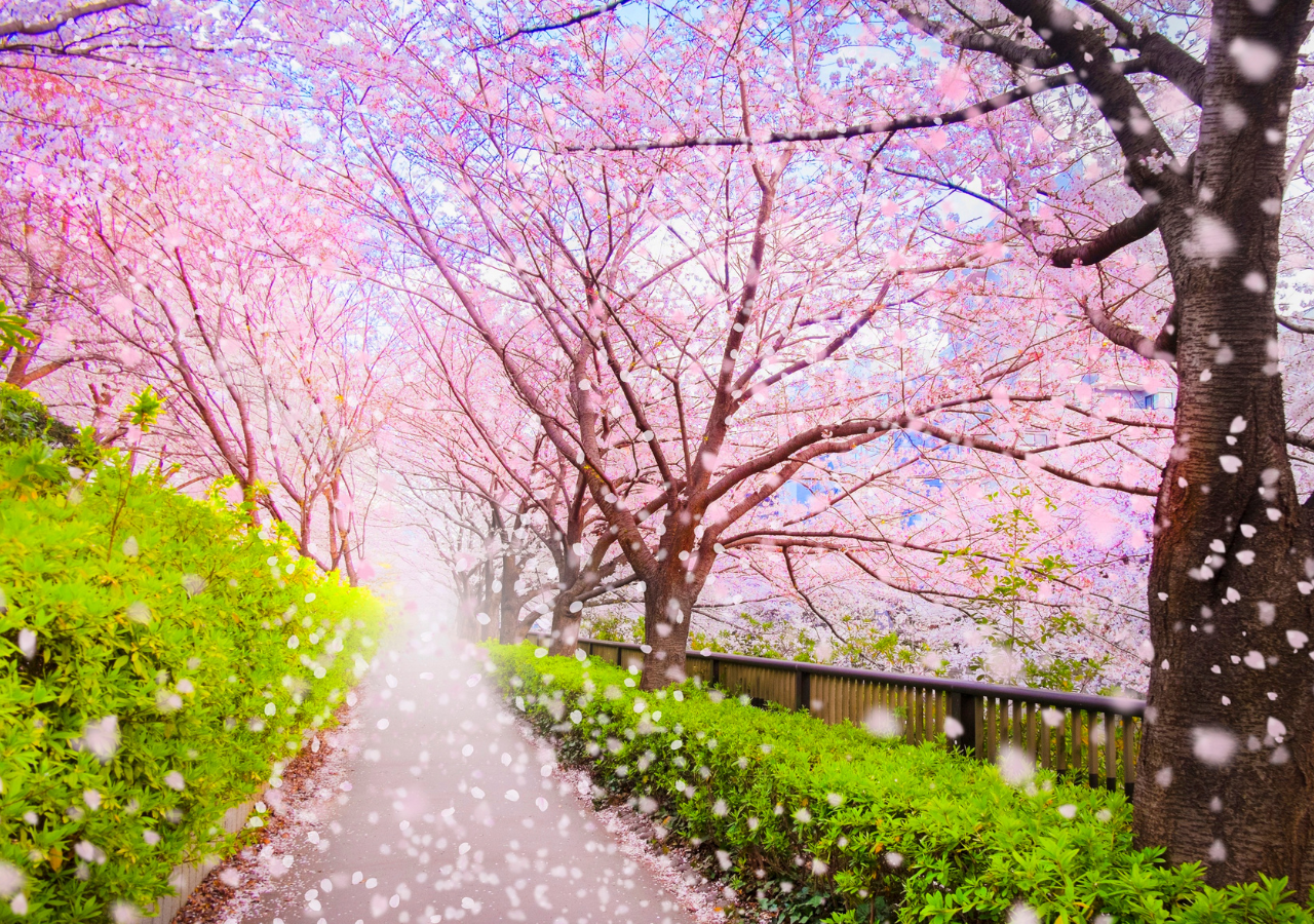 自律神経、松戸